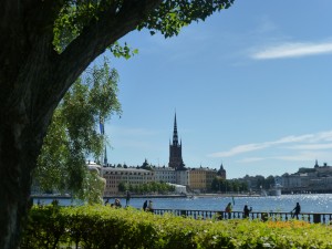 P1030323