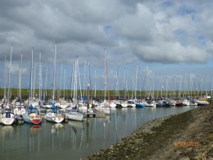 P1040391