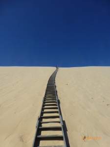 P1040769