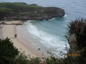 IMG_0024