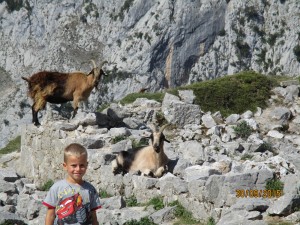 IMG_0036