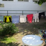 IMG_0286