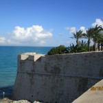 IMG_0754